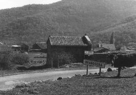 Bra&ntilde;osera