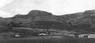 Pe&ntilde;a Amaya