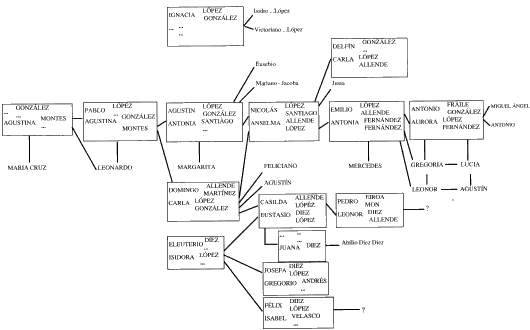 Árbol genealógico