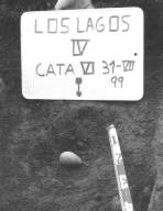 Foto 4. Percutor de cuarzita - Lagos IV