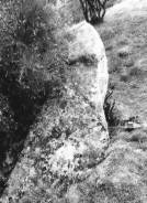 Foto 5. Menhir Dama