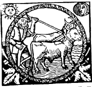Roturación de los campos. Calendario s. XIV