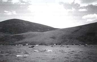 Puerto de Sejos. M.C.C. 16-VI-00