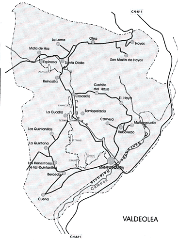 Mapa con la localización de los menhires