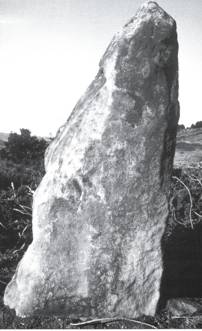Menhir "La Matorra I"