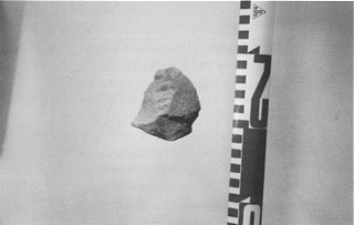 Foto 8. Lasca levallois de las terrazas del r&iacute;o Hijar en Matamorosa