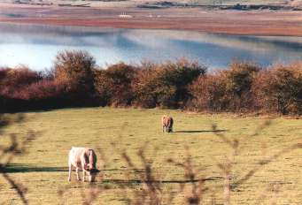 Panorámica del pantano del Ebro