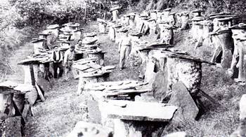 Colmenar en Aldea de Ebro. Foto colecci&oacute;n D. Artemio Ceballos