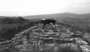 Excavaciones de La Cueva