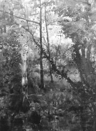 Bosque