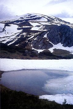 Foto 7. Vertiente norte de Valdecebollas, con el circo de la porción superior y las morrenas frontales en primer plano