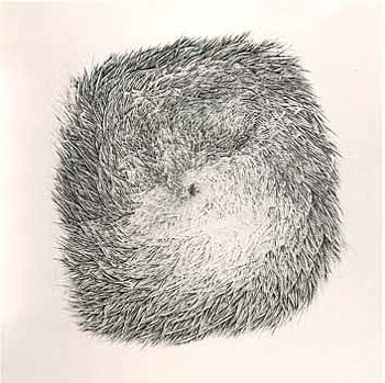 Aceleración coriolis. 113 x 113 cms. Pluma y tinta sobre papel.