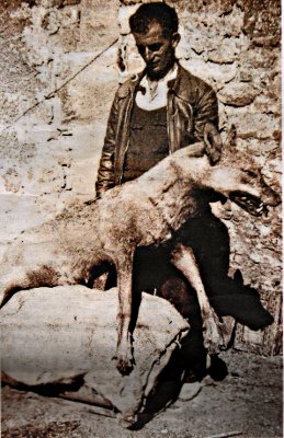 Felipe López González con un ejemplar de lobo. Foto cedida por la familia
