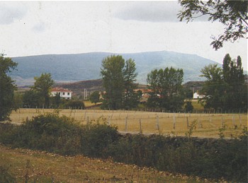 La Miña