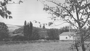 La Miña